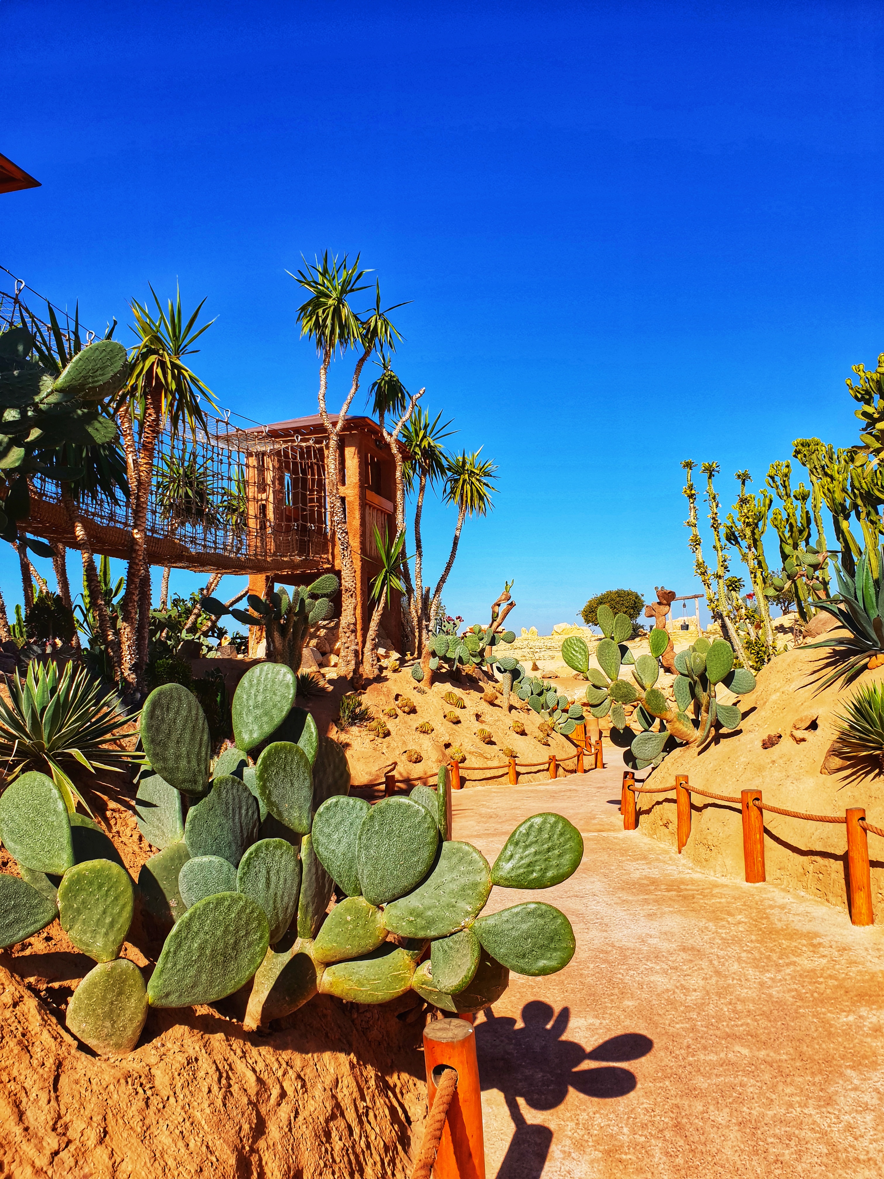 20190122_122615-01 (1)