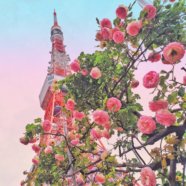 PICNIC_20190519_214600094