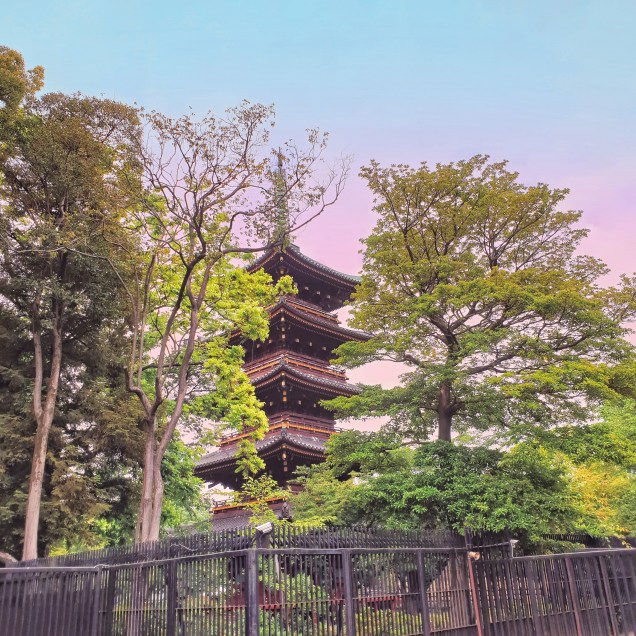 PICNIC_20190521_141254307-01