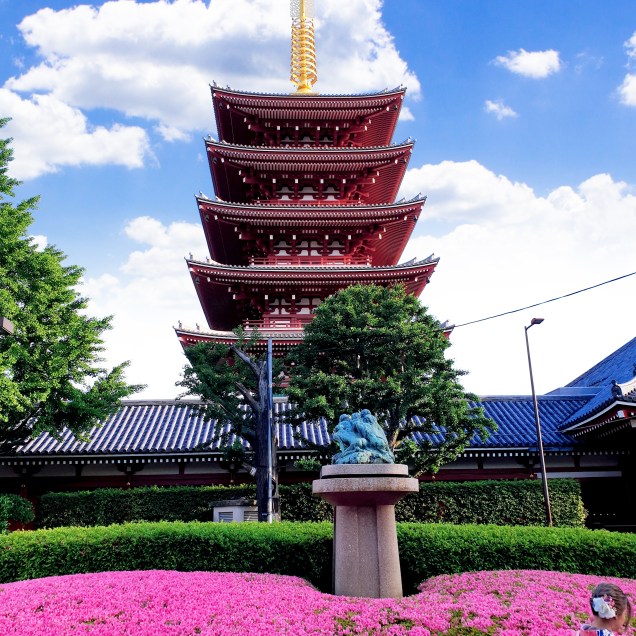 PICNIC_20190522_173108290