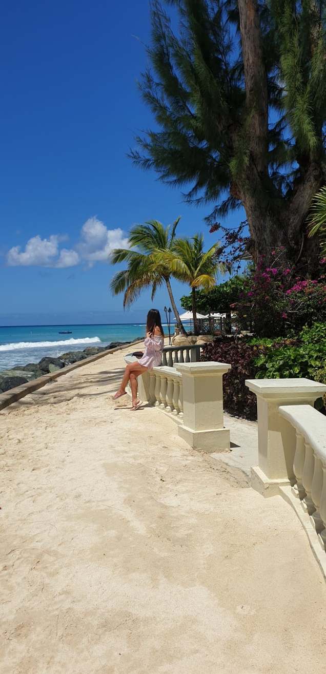 117034420_1593954390768825_6309923338872938573_n