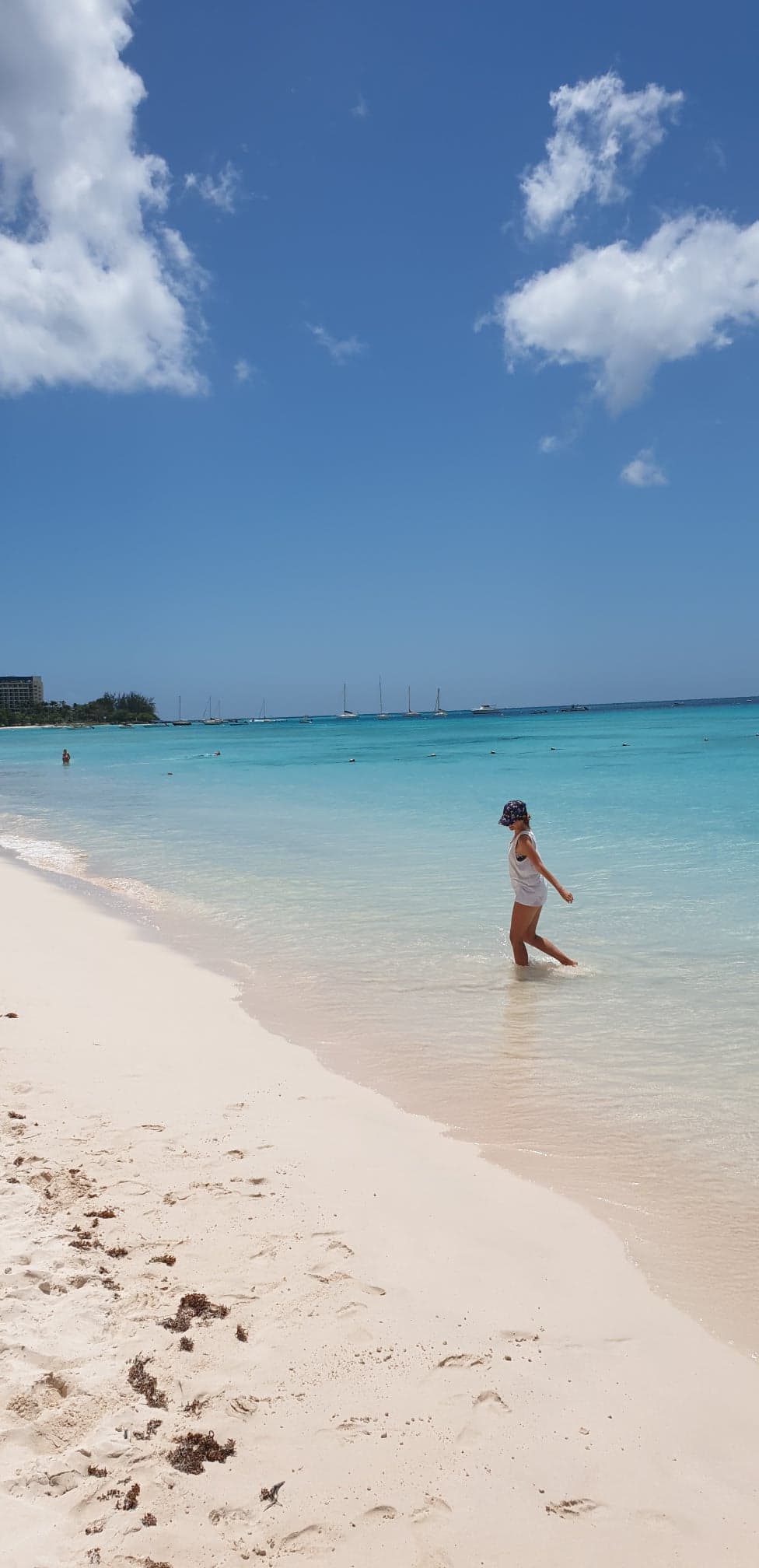 117034420_639513656691109_1593914695214386487_n