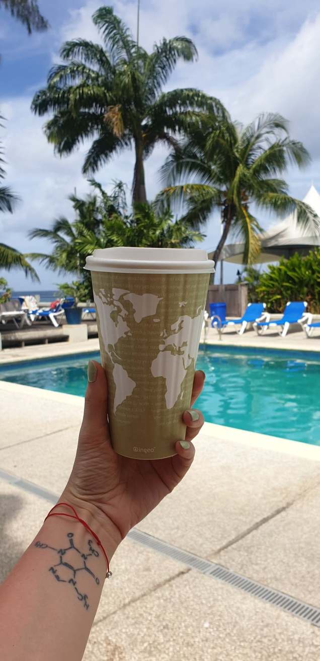 117035042_1244707585863580_8784561866029415751_n