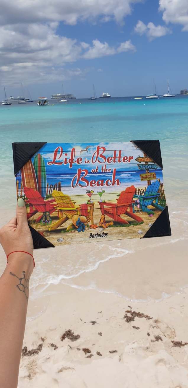 117276139_336431837749247_7134223971133737757_n