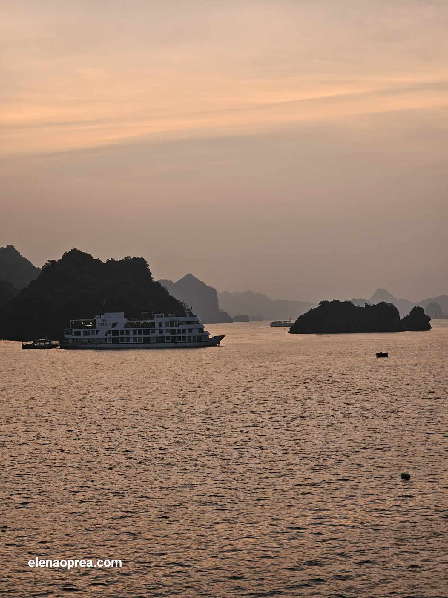 358093111_967197207878711_6519999408034002994_n