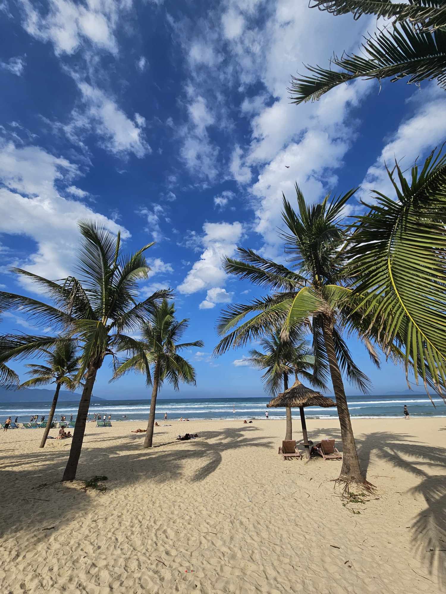 358218735_689871352956043_760202004048004498_n