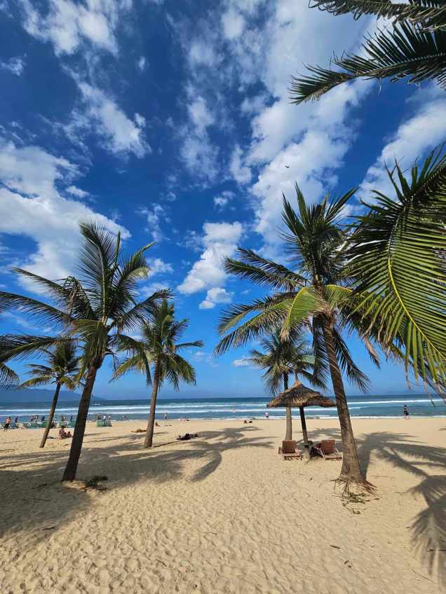 358218735_689871352956043_760202004048004498_n