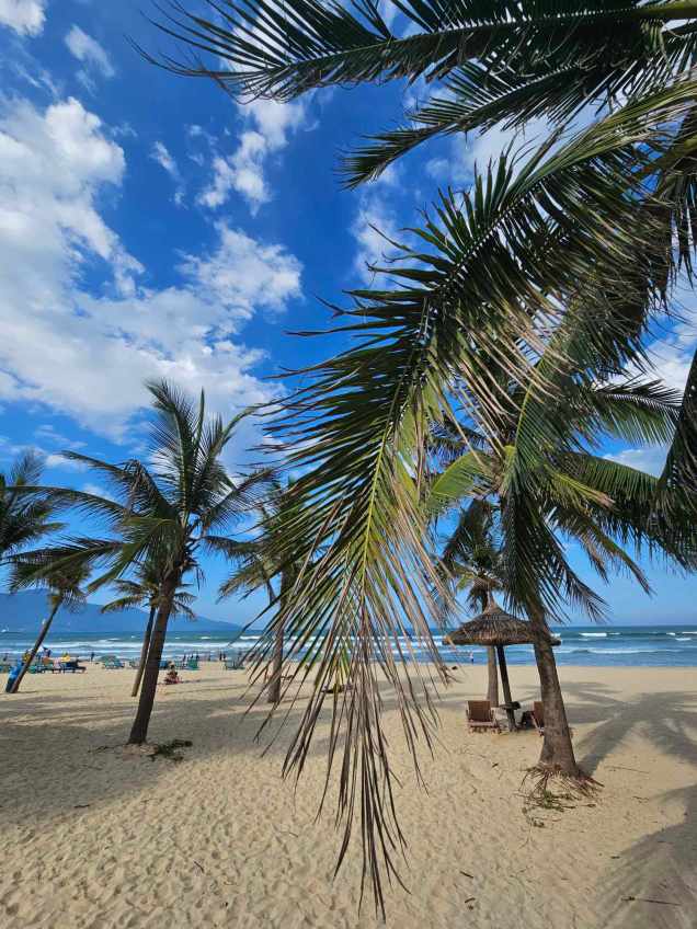 358218752_620730096497540_6292326652327086347_n