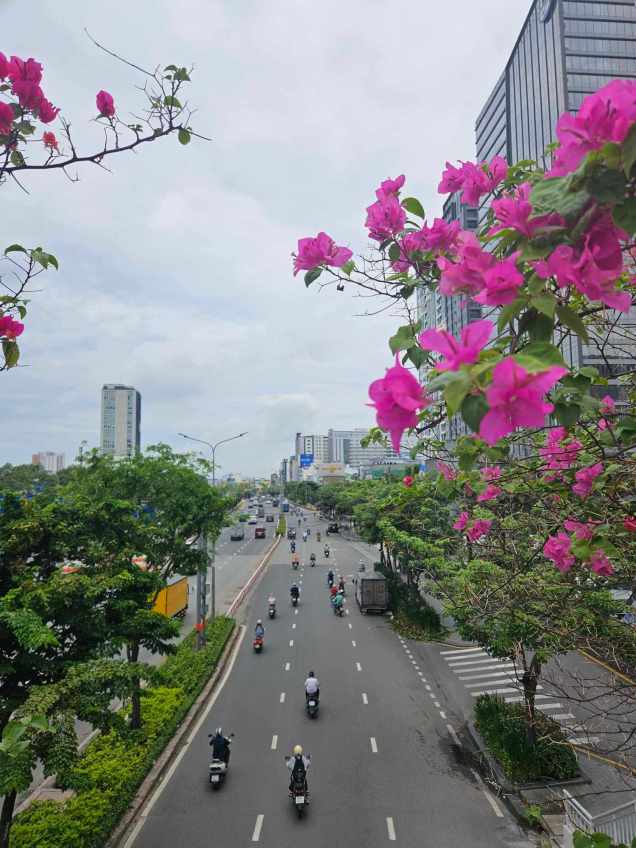 358508264_788820689404576_7923491321313724427_n