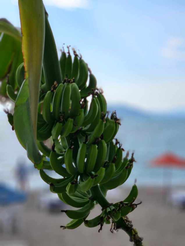 367374717_183802078147986_2227281842710346575_n