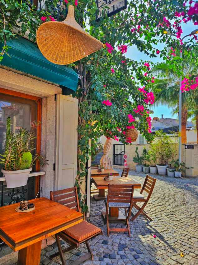 368057672_798085878789913_401168559873135752_n