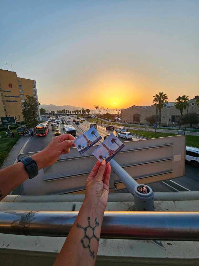 368397651_3306145286342506_725618842416452912_n