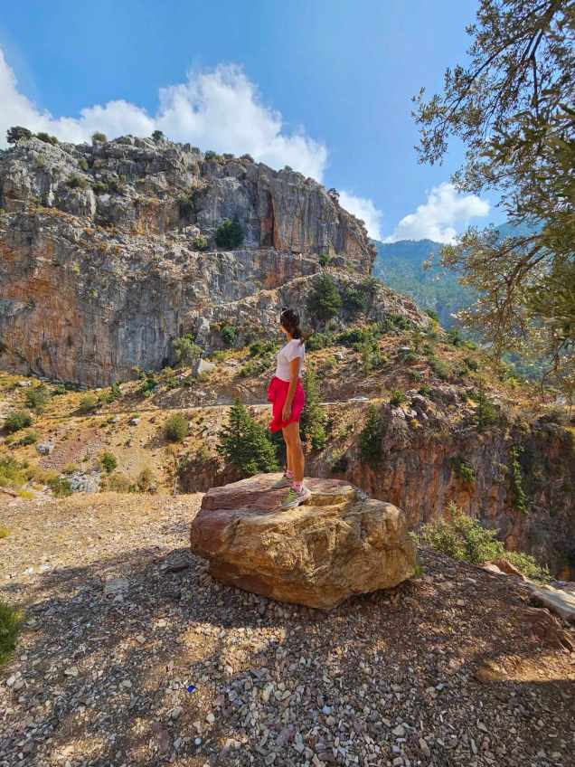 368399338_892719362373564_4117571506242032888_n