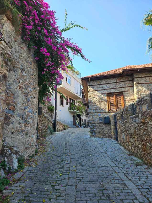 370062340_7232024966861987_340533662353291704_n