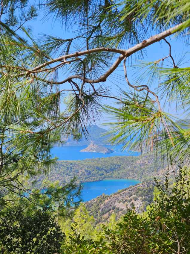 370072551_2414624508722966_7883959970923262332_n