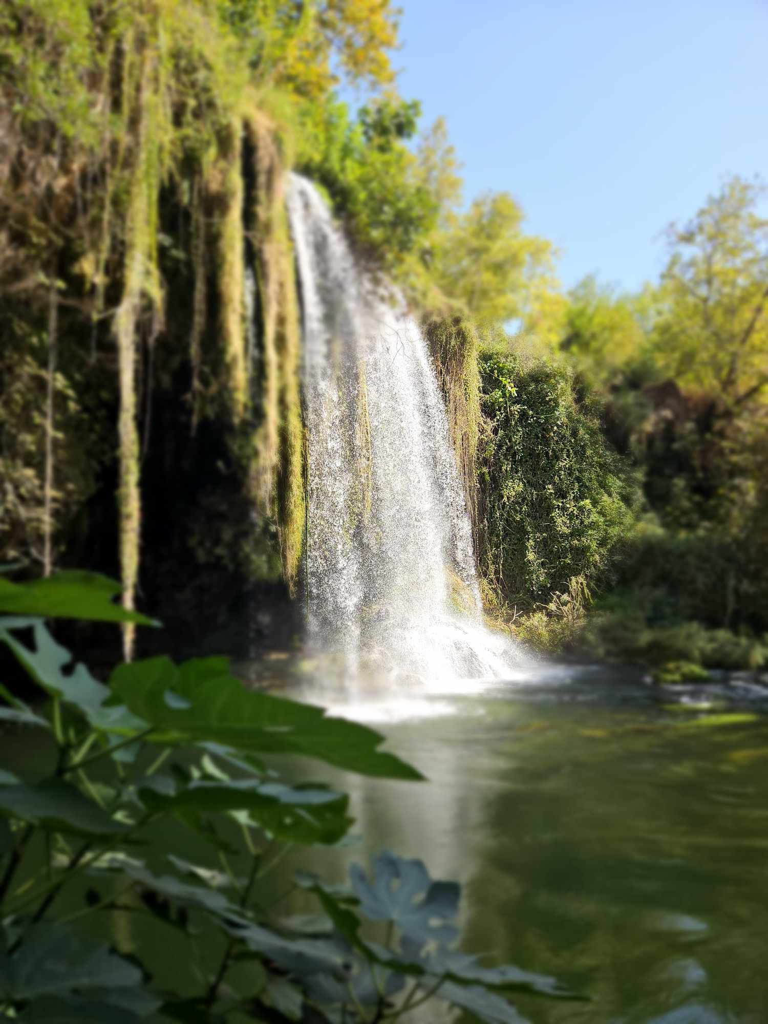 370201275_1330061961047699_4232921836513980367_n