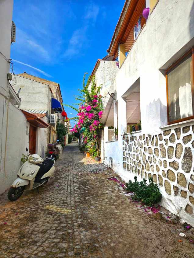 370214481_717232897135236_3072394098817610998_n