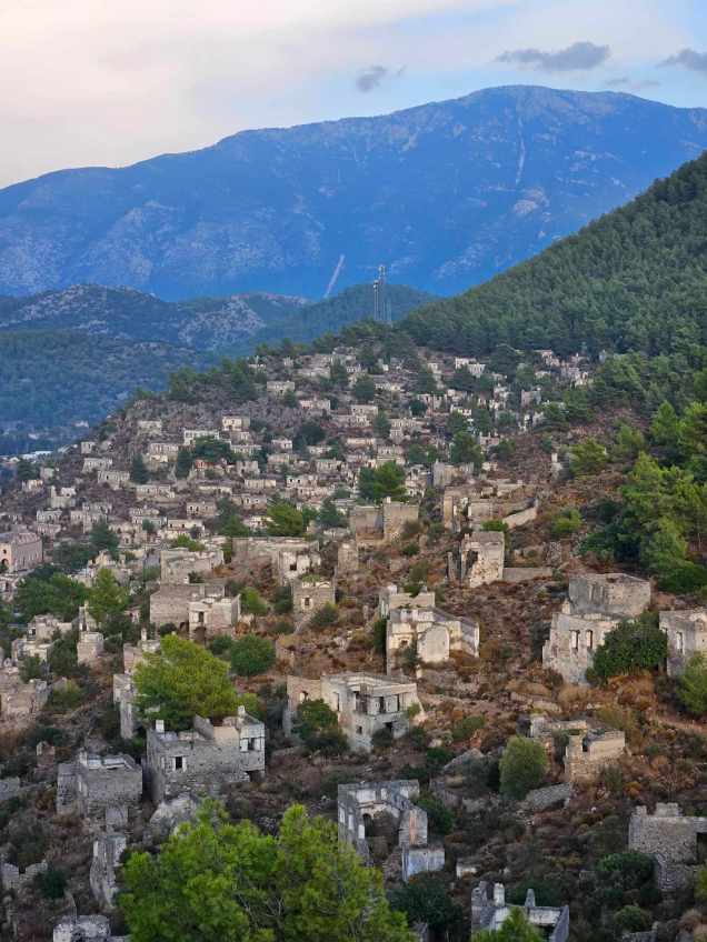 370225265_709302067792151_7995272348039856955_n