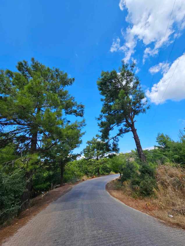 370241650_320845947398501_5095698368615683286_n