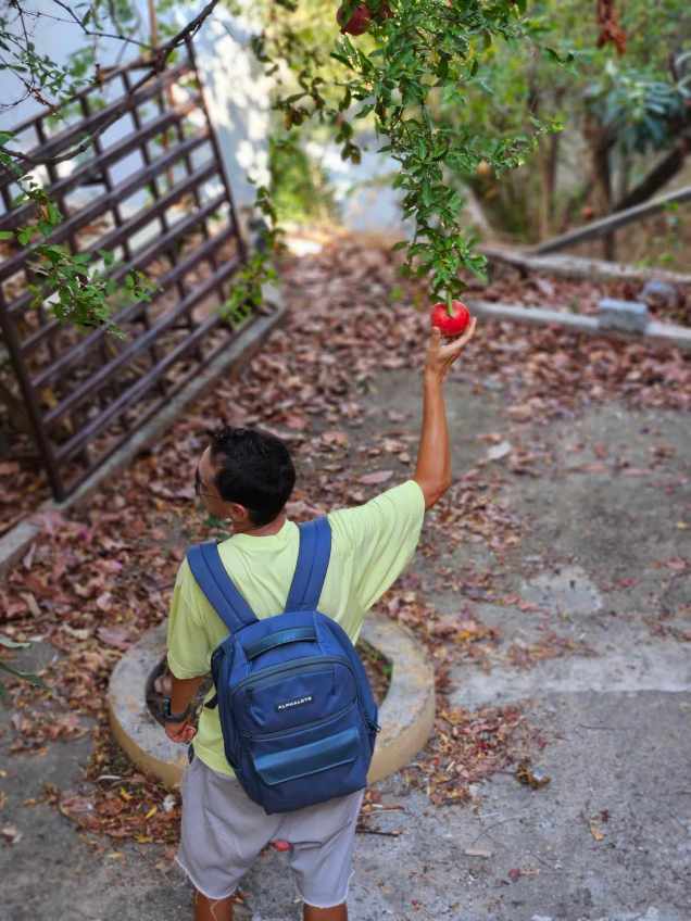 370272451_819952723209409_5379033421413205434_n