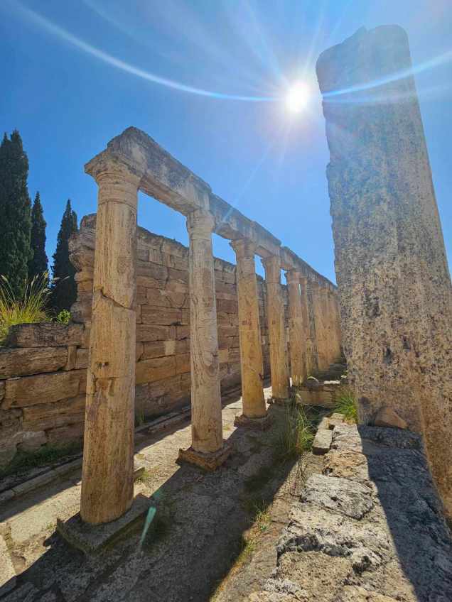 370338791_1013121063294113_7103996197685827544_n