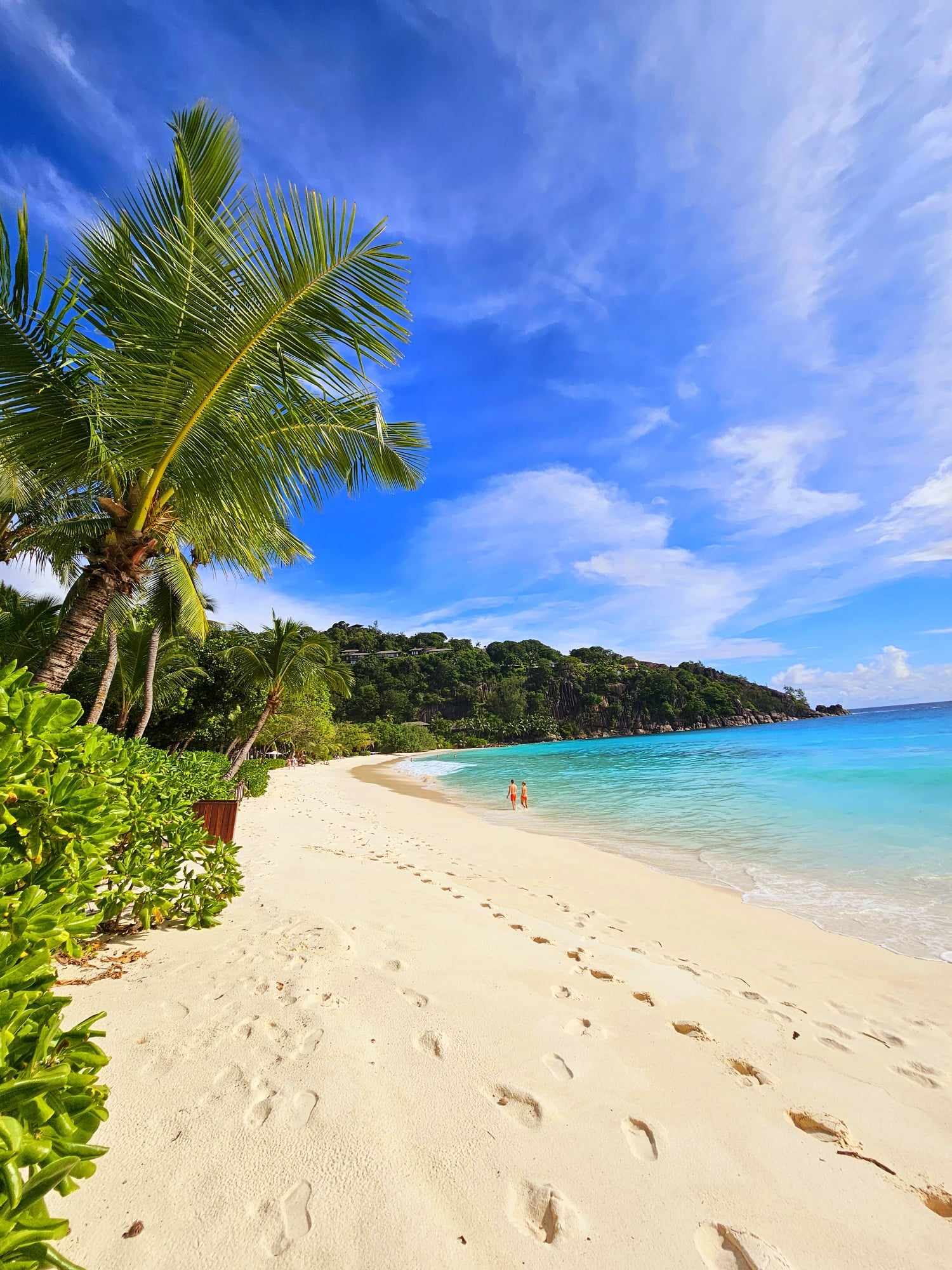 2dc367a7-14a4-4731-98f9-5a42e0abaa83