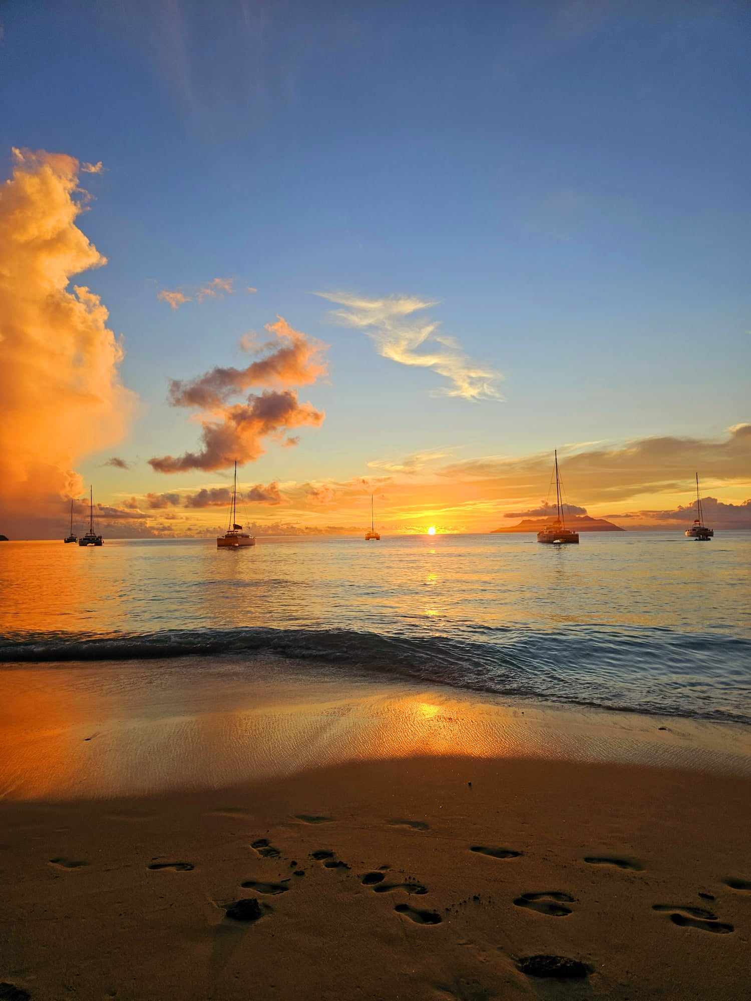 50436b74-b744-40f4-bb87-007f6ac1b336